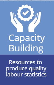 Capacity building. Resources to produce quality labour statistics